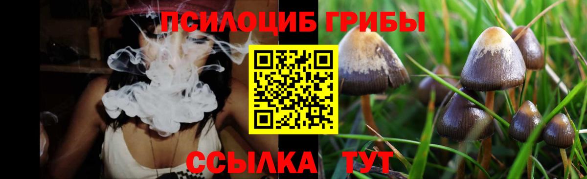 Лесозаводск  Псилоцибиновые грибы Psilocybine cubensis  Псилоцибиновые грибы Magic Shrooms  Вход с VPN 