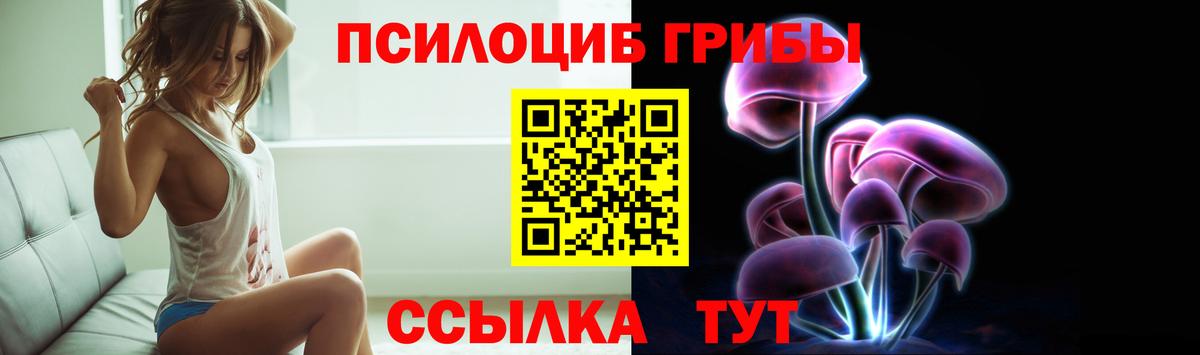 Галлюциногенные грибы GOLDEN TEACHER Лесозаводск